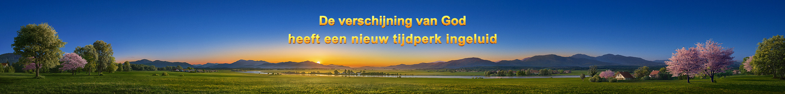 WB-关于我们Banner-初稿