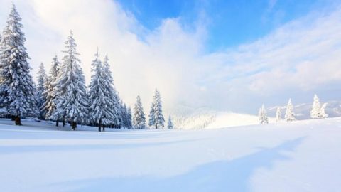 Door de grote rampspoed heb ik veel gewonnen